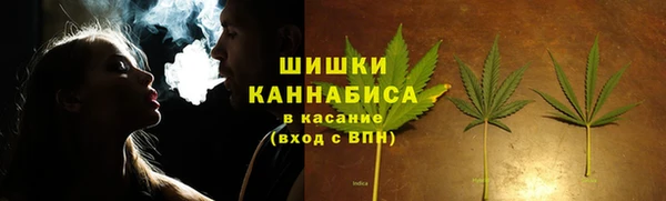 apvp Арсеньев