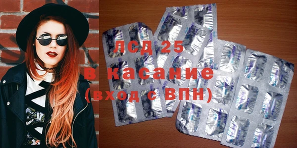 ПСИЛОЦИБИНОВЫЕ ГРИБЫ Армянск