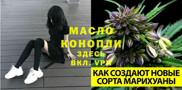 apvp Арсеньев