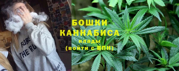 ПСИЛОЦИБИНОВЫЕ ГРИБЫ Армянск